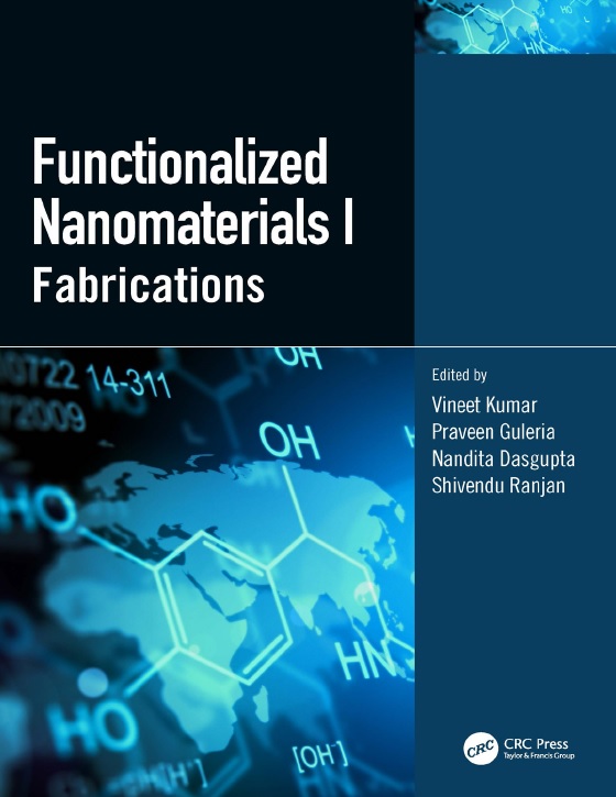 Functionalized Nanomaterials I: Fabrications PDF By Vineet Kumar ...