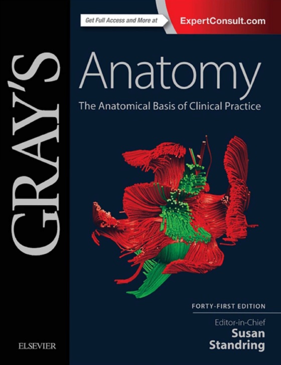 Gray's Anatomy_ The Anatomical Basis of Clinical Practice